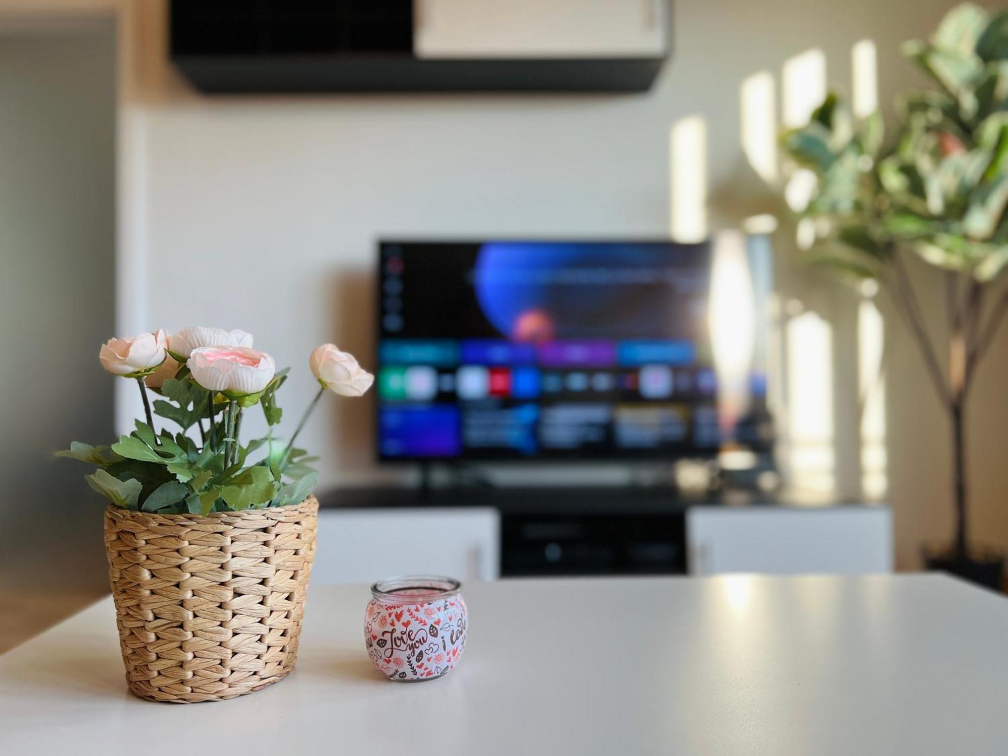 Stariva - Terrasse Ueber Dresden - Kaffeemachine - Netflix - Playstation - Brettspiele Leilighet Eksteriør bilde